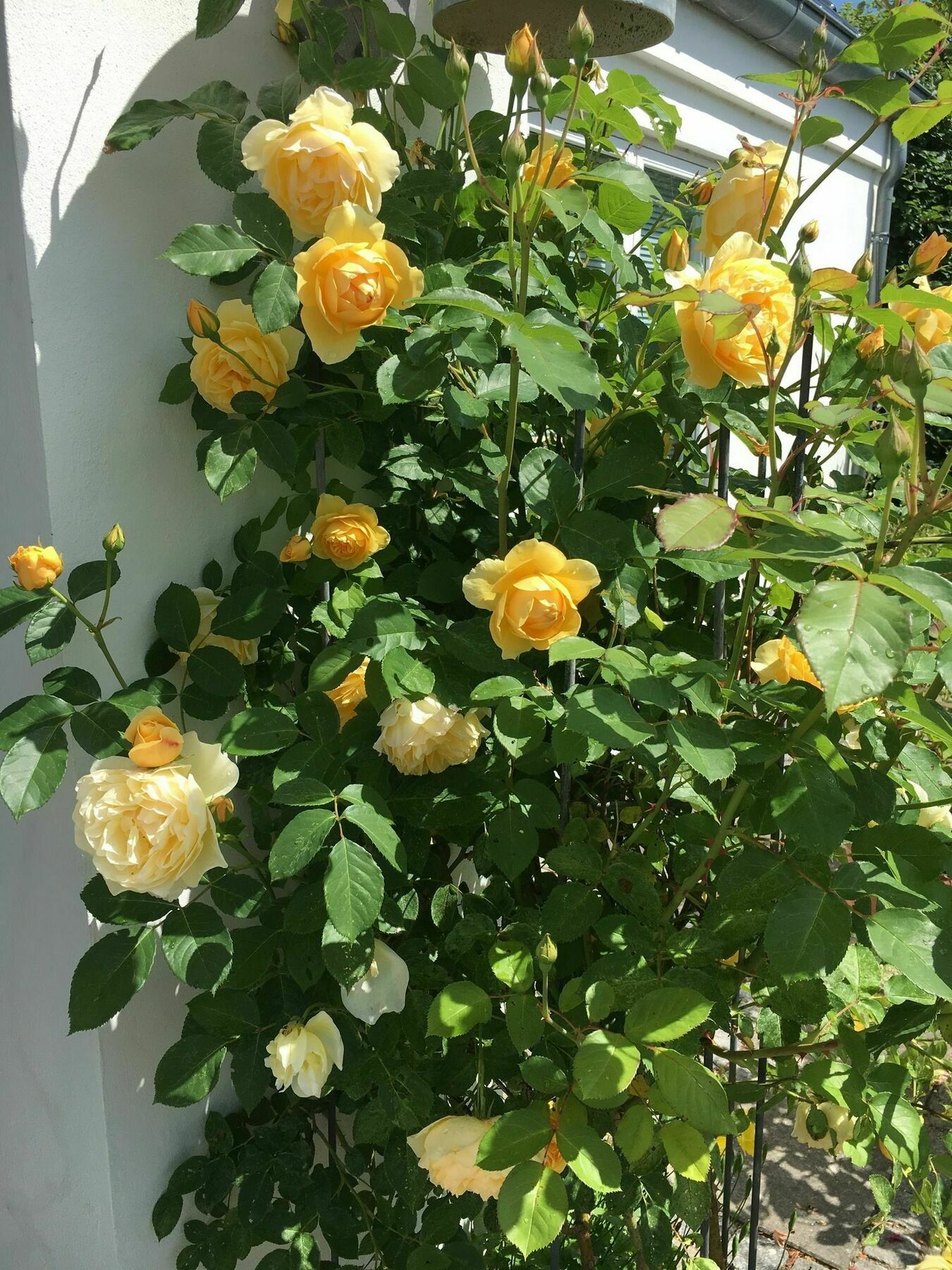 Helts B&B - Helts Guesthouse Herning Dış mekan fotoğraf