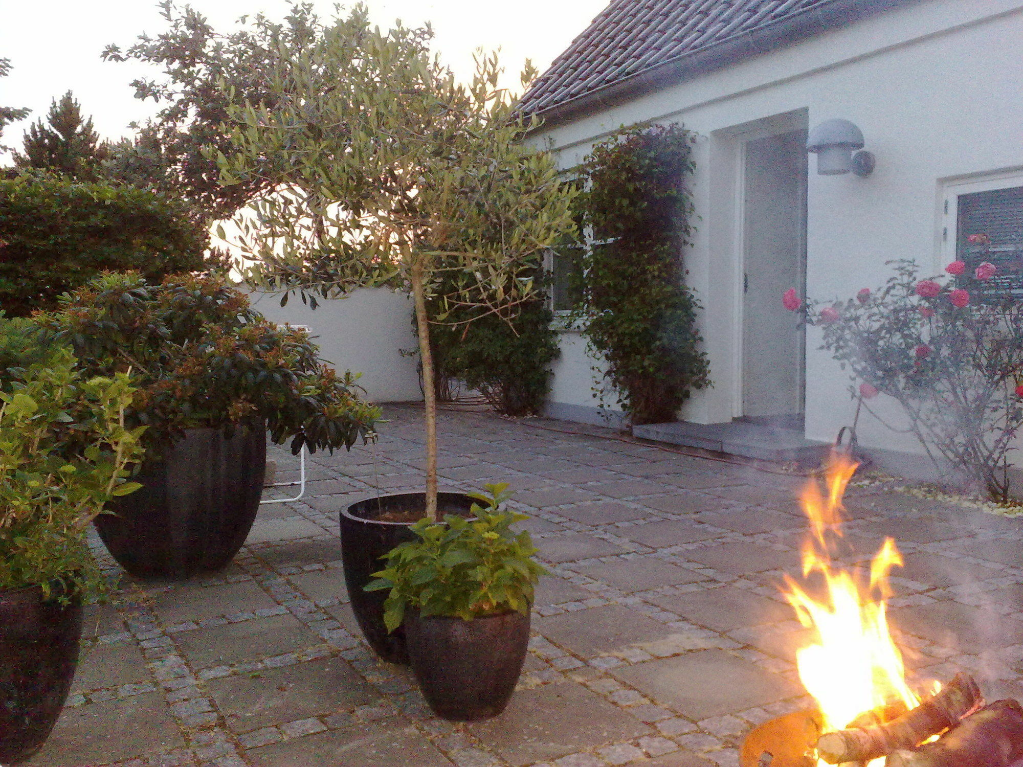 Helts B&B - Helts Guesthouse Herning Dış mekan fotoğraf